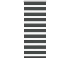 zebrinės žaliuzės 55x150 cm audinio plotis 50,9 cm poliesteris