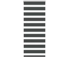 zebrinės žaliuzės 60x100 cm audinio plotis 55,9 cm poliesteris