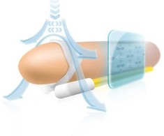 Andromedical Andropenis Mini Anatomical Traction Device for Men Under 8 cm