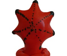 Condomerie Hand-Painted Decorative Condom Starfish Art Edition