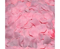 Diablo Picante Decorative Rožinė Rose Petals Set - 100 Pieces