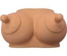 DIABLO PICANTE Decorative Light-Toned Bust Coin Bank - Durable Rubber, Large Capacity