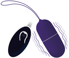 Intense Couples Toys INTENSE Flippy I Vibrating Remote-Controlled Egg Violetinė 12 Modes