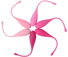 LESLIE Kegel Fit Set - 6-Weight Pelvic Floor Muscle Trainer, Silicone