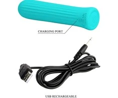 PRETTY LOVE C-TYPE Mėlyna Pretty Love Blanche Mėlyna Flexible Silicone Vibrator 12 Modes USB Rechargeable