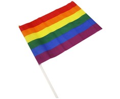 Pride Diablo Picante Medium Pennant Rainbow LGBT Flag 30x19.5 cm
