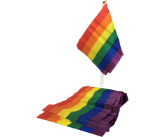 PRIDE Rainbow Mini Flag Banner 20x15 cm with 30 cm Stick
