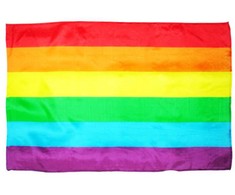 Diablo Picante PRIDE Medium Rainbow Flag 90x60 cm Durable Polyester
