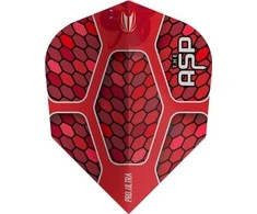 Shot Sparneliai Target Vision Ultra Player Nathan Aspinall No.6