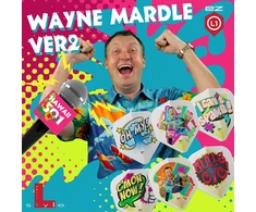 Sparneliai L-style L1EZ Standard Wayne Mardle Type B