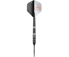 Strėlytės Target Raymond van Barneveld Echo 95% Swiss, 21 gramo