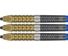 Strėlytės Target Raymond van Barneveld G6 95% Swiss, 21 gramo