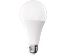 Emos LED lemputė Classic A80 / E27 / 20 W (150 W) / 2452 lm / Šalta balta