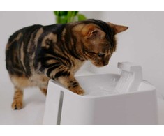 Automātiskā dzirdne dzīvniekiem - Placek Cat Epic Pet Zen water drinking fountain 2.4l/20cm