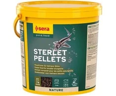 Sera Sturgeon Granules 3.800 ml, granulės - maistas eršketams