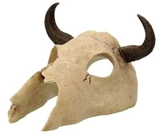 Dekors terārijam / galvaskauss : Repti Planet Buffalo skull 12,5x11,8x8cm