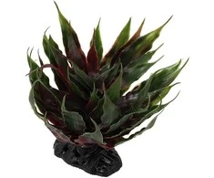Dekors terārijam : Repti Planet Agave succulent žalias, 18 cm