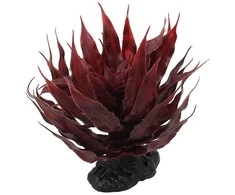 Dekors terārijam : Repti Planet Agave succulent red, 18 cm