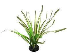 Dekors terārijam : Repti Planet Spartina grass, 30 cm