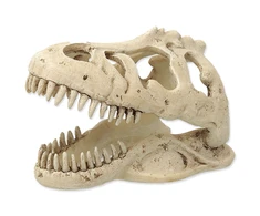 Dekors terārijam : Repti Planet T:REX skull 13,3x8,5x9cm