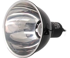 Repti Planet lempos gaubtas 14cm