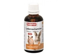 Papildomas ėdalas graužikams – Beaphar Lebensvitamine, 50 ml