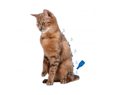 Pilieni pret blusām, ērcēm kaķiem - Beaphar IMMO SHIELD LINE-ON Cat, 3 pipetes