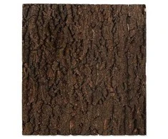 Reljefs terārijam : Repti Planet Background cork natural 43.5x56x2cm
