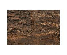 Reljefs terārijam : Repti Planet Background cork natural 29x27,3x2cm