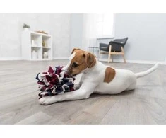 Trixie Dog Activity Sniffing Ball, uostymo žaislas, šuniui, dia. 15 cm