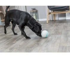 Trixie Žaislas šunims Trixie kamuoliukai iš natūralaus kaučiuko, plastikiniai TPR skanėstai