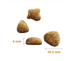 Sausā barība kaķiem - IAMS CAT SENIOR OCEAN FISH, 800 gr