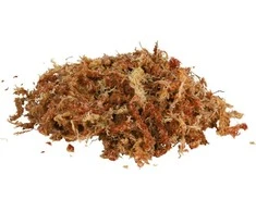 Trixie Medium Moss Sphagnum 100g