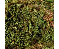 Trixie Moss, substratas drėgniems terariumams, 200 g