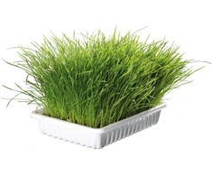 Trixie COT 100g