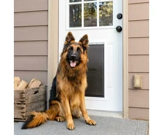 „PetSafe“ Extreme Weather aliuminio durys augintiniams – XL karščiui izoliuojantis sustiprintas metalinis įėjimas
