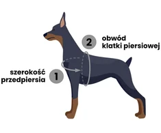 Dashi La Casa De Papel Bella Ciao Diržai Šuniui – Reguliuojamas Raudonas Apsauginis Diržas, Mažas Dydis