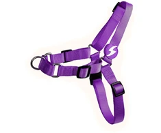 Dashi Solid Front Harness Violetinė – „No-Pull“ Norvegiškas šunų diržas, didelis, patvaraus dizaino