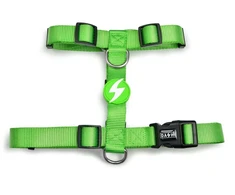 Dashi tvirtas diržas „Solid Back Harness“ žalias – reguliuojamas „Guard Dog“ diržas, vidutinio dydžio, patvarus dizainas