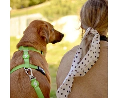 Dashi tvirtas diržas „Solid Back Harness“ žalias – reguliuojamas „Guard Dog“ diržas, vidutinio dydžio, patvarus dizainas