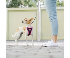 Dashi Unicorn Neo Mesh pakaitė – Dvipusė neopreno, be slėgio dizaino, su vienaragio raštu, maži dydžio – Dashi