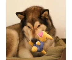 Dashi Žaislas „Parry Dino Toy“ – ėdalo angą turintis žaislas dinozauro formos, mėlynos ir geltonos spalvos, patvarus dizainas. Dashi