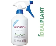 Ideal Plant Grenadine granatų kvapusis vanduo – ilgai išliekantis kvapnus purškiklis, 500 ml buteliukas