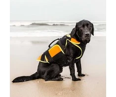 Julius-K9 Daugiafunkcinė Oranžinė Liemenė – Plūdrumą Didinanti, Palaikanti Maudymosi ir Reabilitacijos Pagalbinė Priemonė, Dydis L