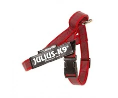 Julius-K9 IDC Color&amp;Gray Dirželis Rauudonas – Reguliuojamo Mini-Mini Dydžio, Patvaraus Dizaino
