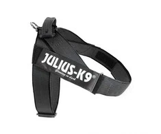 Julius-K9 IDC Color&amp;Gray Diržo tipo antkaklis – Reguliuojamas juodas mini antkaklis su patvariomis juostelėmis.