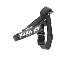 Julius-K9 IDC Color&amp;Gray Diržo tipo antkaklis – Reguliuojamas juodas mini antkaklis su patvariomis juostelėmis.