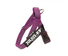 Julius-K9 IDC Color&amp;Gray Diržo tipo pakinktai Rožinė – Fuksija Mini-Mini, Reguliuojamo ir patvaraus dizaino