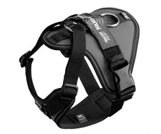 Julius-K9 IDC Longwalk Light Antracito – Lengvas trekingo dizainas su GPS kišenėle, XS Pilkas