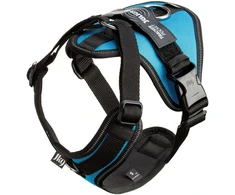 Julius-K9 IDC Longwalk Light Pakalimėlė Aquamarine – Lengvas trekingo dizainas su GPS kišene, XL Mėlyna
